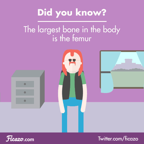 The human body has 206 bones in it. Out of all those bones there is one that is bigger than all the rest, and it is the femur. It’s not only known to be the largest but also the strongest and heaviest in the body. The femur is the only bone in the thigh. Each person has a different size femur proportional to their own body.Source: Kids.net