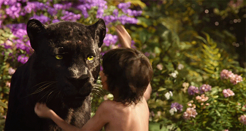 Mowgli and Bagheera in Animation from The Jungle Book Movie