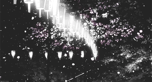 ! (๑•ิ.•ั๑ 桜 (sakura flower Tumblr_mzcoalCyCO1r6gnqvo1_r1_500