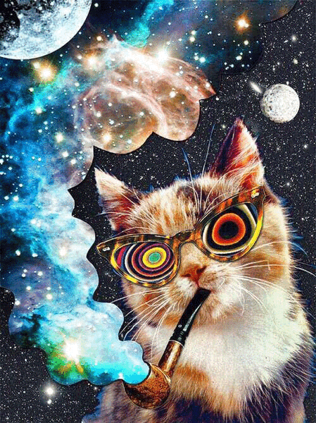 acid cat space