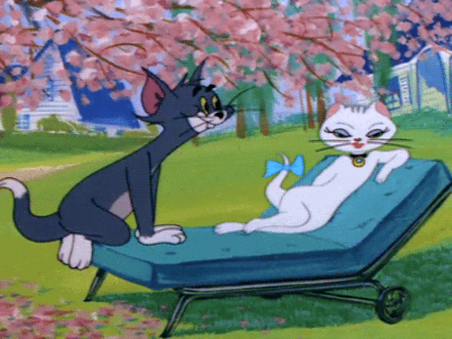 my gif gif love gifs film vintage tom and jerry 1950s